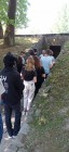 Poznávací zájezd do Osvětimi