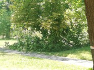 Slatiňany