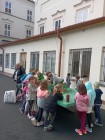 Přírodovědný projekt