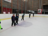 bruslení