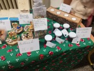 Advent na Zámecké