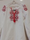 Projektový den