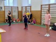 Skokan roku