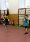 Skokan roku