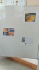 Projektový týden - včely