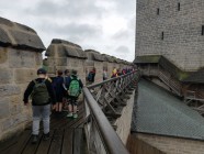 Výlet hrad Kost