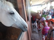 Den dětí - výlet za zvířátky
