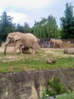 Školní výlet ZOO Dvůr Králové nad Labem