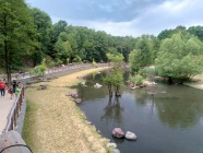 Školní výlet ZOO Dvůr Králové nad Labem