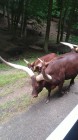 Školní výlet ZOO Dvůr Králové nad Labem