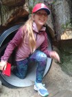 Školní výlet ZOO Dvůr Králové nad Labem