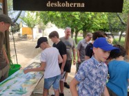 Den s lesy ČR