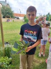 Den s lesy ČR