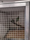 Třídní exkurze - chov exotických zvířat