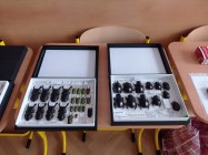 Projektový den Zelený život na modré planetě