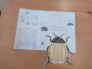 Projektový den Zelený život na modré planetě