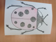 Projektový den Zelený život na modré planetě
