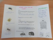 Projektový den Zelený život na modré planetě
