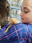 Malí koumáci u exotických zvířat
