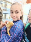 Malí koumáci u exotických zvířat