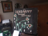 Slavnostní vyhlášení soutěže Moje veličenstvo kniha