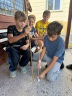 Adaptační kurz žáků 6. tříd Adaptační kurz žáků 6. tříd