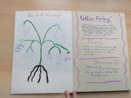 Moje veličenstvo kniha