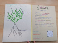 Moje veličenstvo kniha