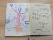 Moje veličenstvo kniha