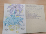 Moje veličenstvo kniha