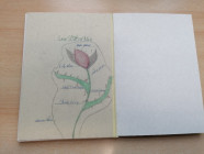 Moje veličenstvo kniha