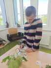 Finále Přírodovědné poznávačky