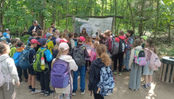 Výlet soviček a koumáků Výlet soviček a koumáků
