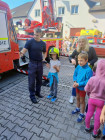 Den s IZS