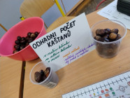Malí badatelé - den s kaštany