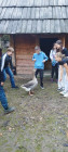 Dějepisná exkurze šesťáků na Křivolík