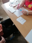 Volby do městského zastupitelstva