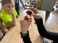 Rozvíjení logického myšlení na čerstvém vzduchu, pokusy s vejci