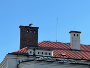 Noční škola