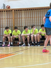 Oblastní kolo v basketbalu Oblastní kolo v basketbalu