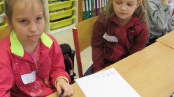 Vše má svá pravidla