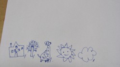 Vše má svá pravidla