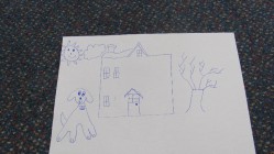 Vše má svá pravidla