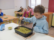 6 POSTNÍCH NEDĚLÍ před VELIKONOCEMI