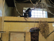 Školní výlet ZOO Olomouc