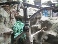 Školní výlet ZOO Olomouc
