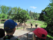 Školní výlet ZOO Olomouc