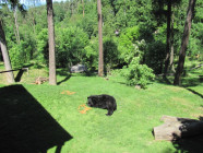 Školní výlet ZOO Olomouc