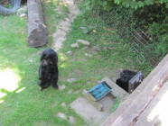 Školní výlet ZOO Olomouc