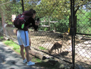 Školní výlet ZOO Olomouc